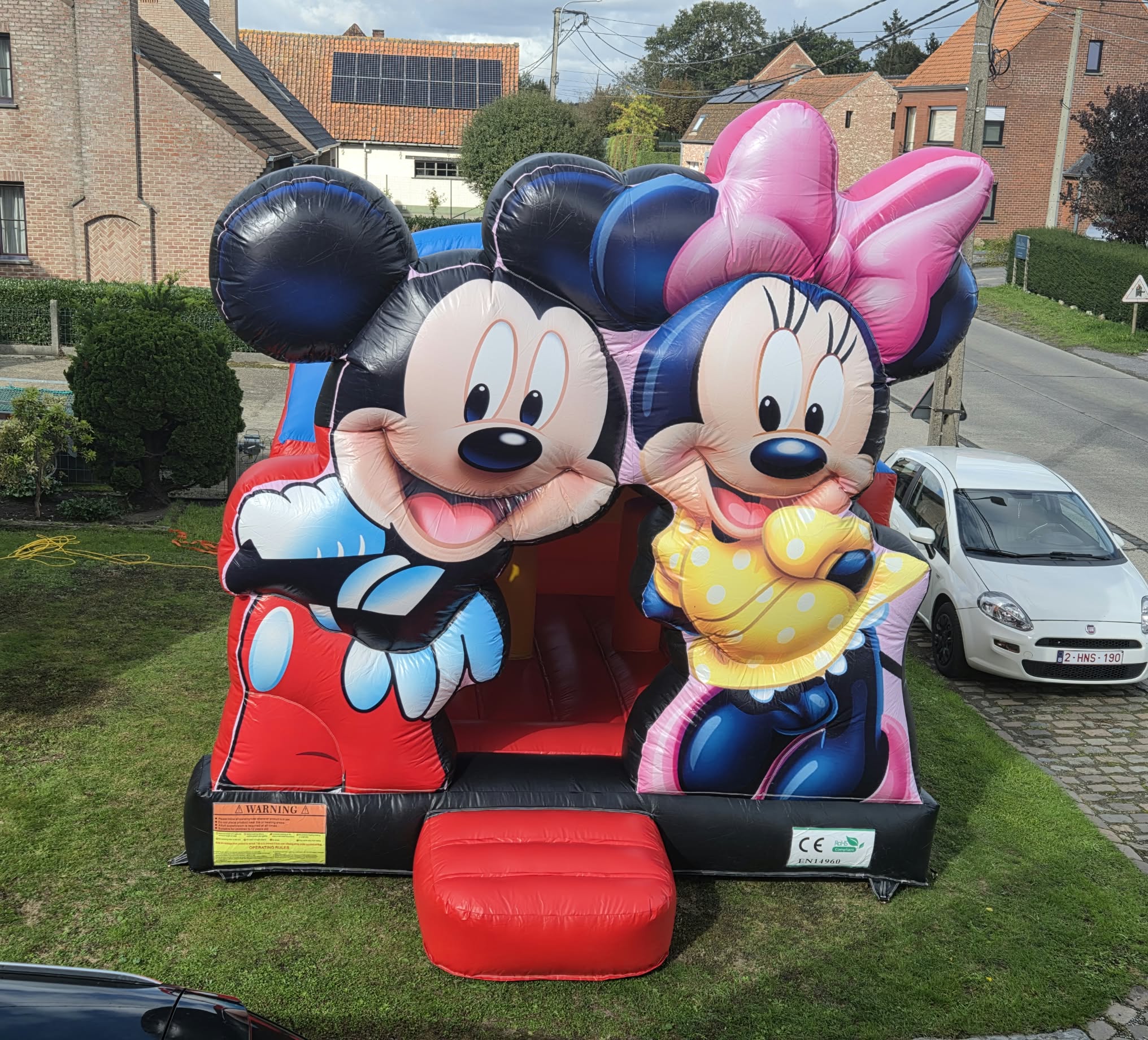 Mickey en minnie mouse – foto 4